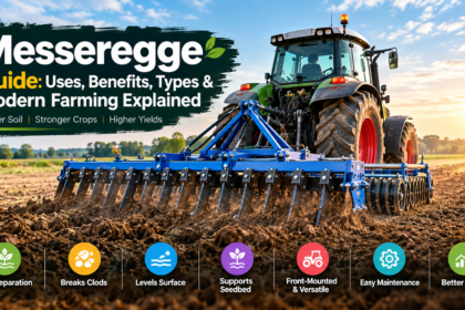 Messeregge Guide: Uses, Benefits, Types & Modern Farming Explained