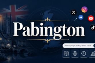 Pabington Explained: Meaning, Origin, History, Uses & Internet Trend in 2026